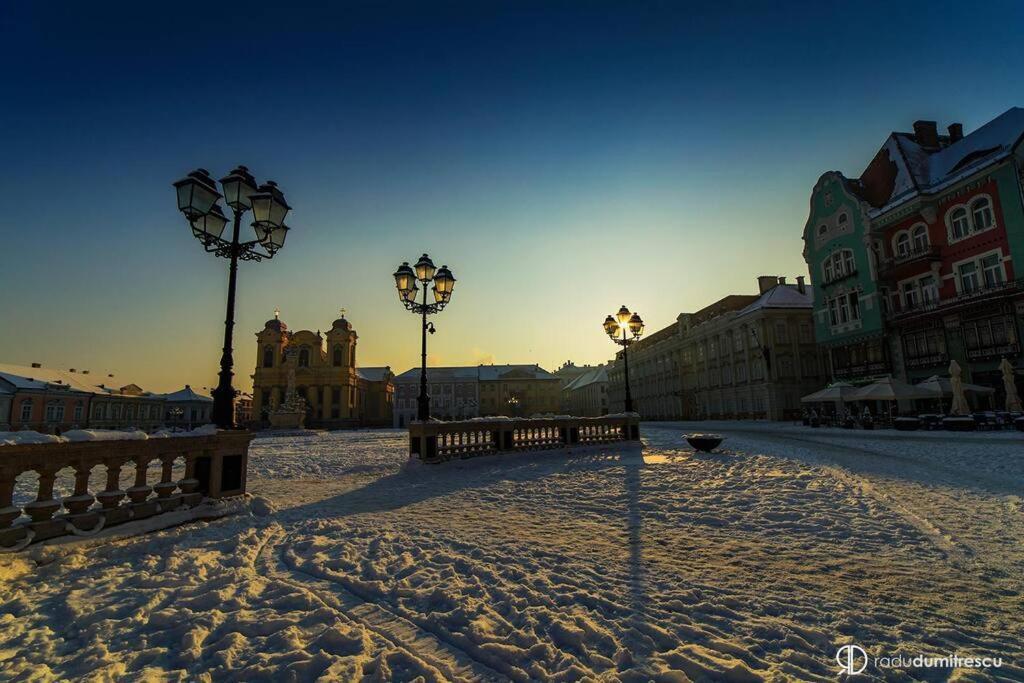 Charming Apartment In Historical City Center Timisoara Esterno foto